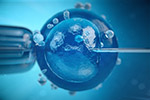 Gravidez na pandemia: tratamentos de reprodução assistida